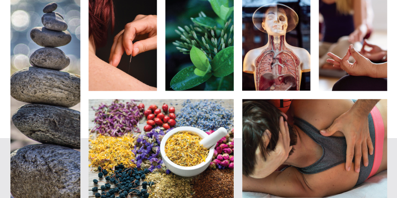The Theory Of Medicinal And Alternative Medicine