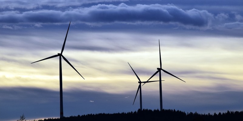 Wind lobby ignores consequences of ‘renewable’ energy