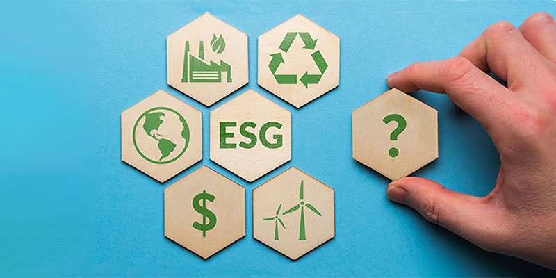 ESG: Myths and Realities - Collected Essays