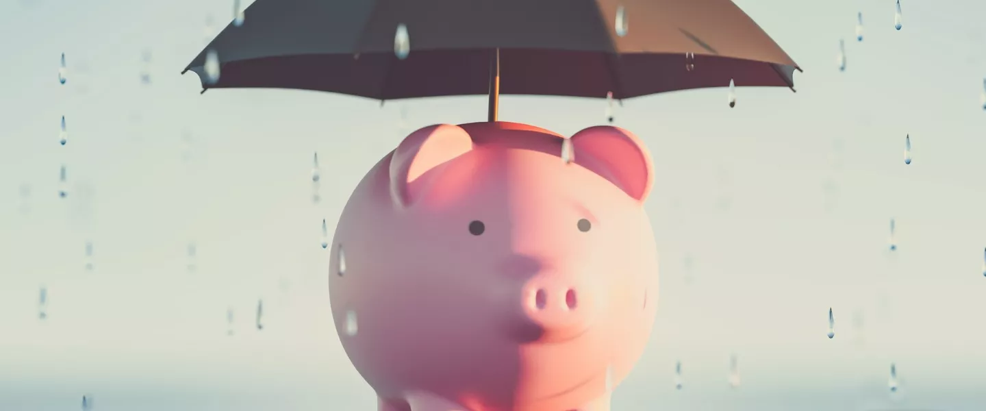 Piggy Bank Rainy Day