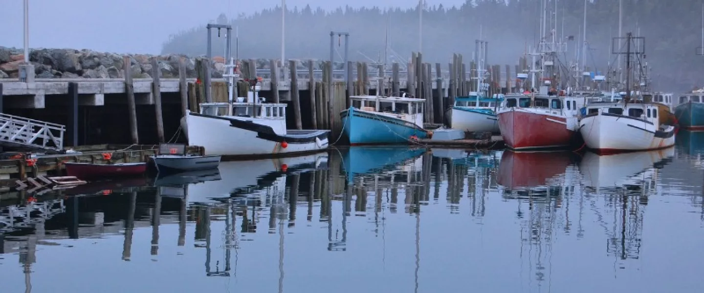 small-group-of-fishing-boats.jpg