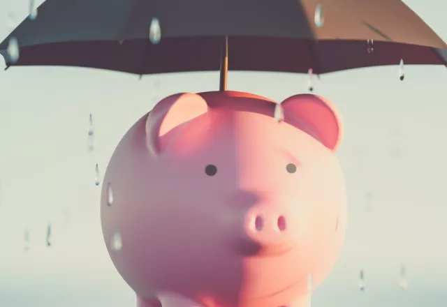 Piggy Bank Rainy Day